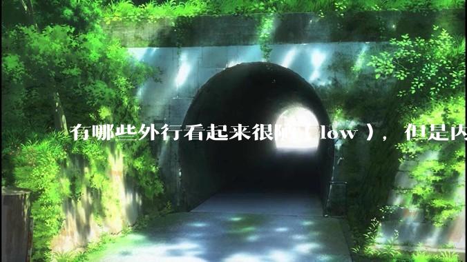 有哪些外行看起来很陋（low），但是内行人却觉得很高大上的东西？
